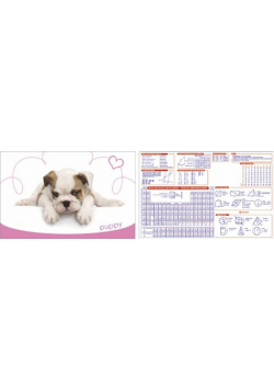 Mata mała dwustronna na biurko Puppy