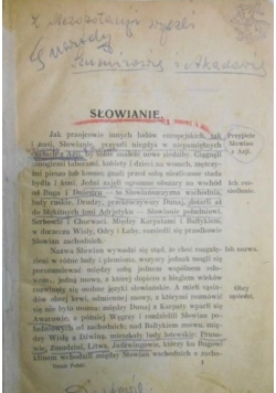 Dzieje Polski, 1919 r.