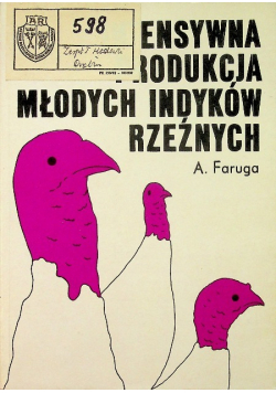 Intensywna produkcja młodych indyków rzeźnych