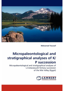 Micropaleontological and Stratigraphical Analyses of K/P Succession
