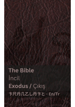 The Bible (Exodus) / İncil (Çıkış)