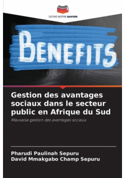 Gestion des avantages sociaux dans le secteur public en Afrique du Sud