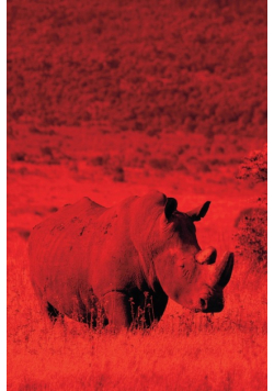 Alive! white rhino - Red duotone - Photo Art Notebooks (6 x 9 series)