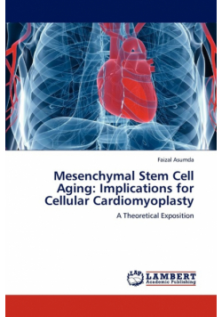 Mesenchymal Stem Cell Aging