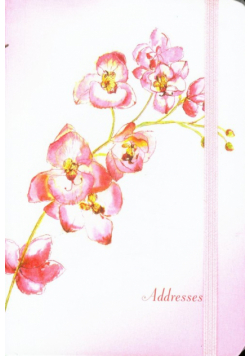 Adresownik Orchidea
