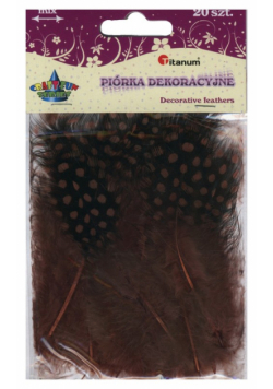 Piórka dekoracyjne brązowe 20 sztuk