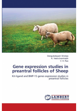 Gene expression studies in preantral follicles of Sheep