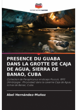 Presence Du Guaba Dans La Grotte De Caja De Agua, Sierra De Banao, Cuba