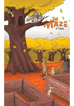 The Maze