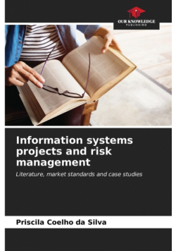Information systems projects and risk management