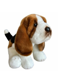 Basset siedzący 30cm
