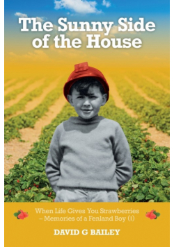 The Sunny Side of the House