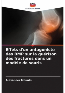 Effets d'un antagoniste des BMP sur la guérison des fractures dans un modèle de souris