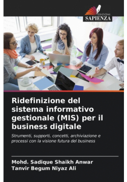 Ridefinizione del sistema informativo gestionale (MIS) per il business digitale