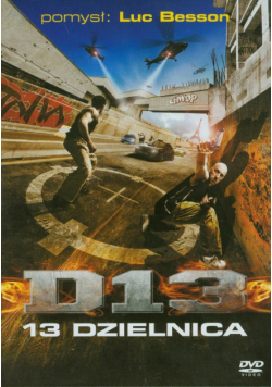 13 Dzielnica