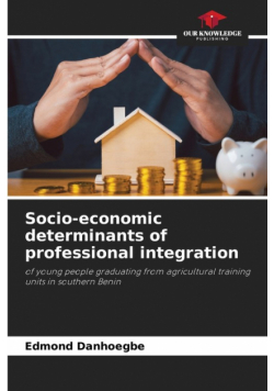Socio-economic determinants of professional integration