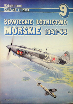 Kampanie lotnicze Nr 9 Sowieckie lotnictwo Morskie 1941 1945