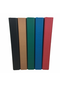 Teczka A4 BOX kraft colours 308x240 assorted ANB210556