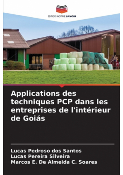 Applications des techniques PCP dans les entreprises de l'intérieur de Goiás
