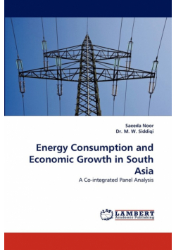 Energy Consumption and Economic Growth in South Asia