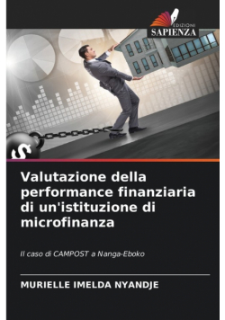 Valutazione della performance finanziaria di un'istituzione di microfinanza