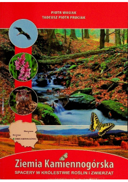 Ziemia Kamiennogórska