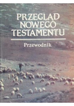 Przegląd Nowego Testamentu Przewodnik