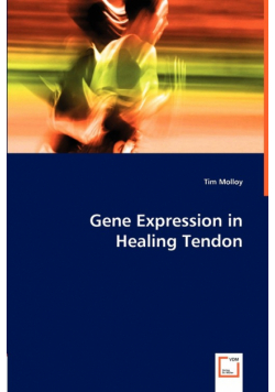 Gene Expression in Healing Tendon