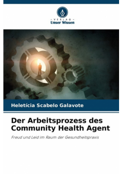 Der Arbeitsprozess des Community Health Agent