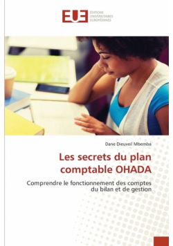 Les secrets du plan comptable OHADA