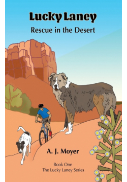 Rescue in the Desert