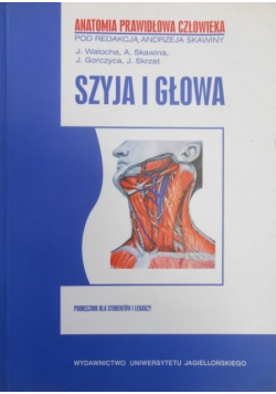 Szyja i głowa