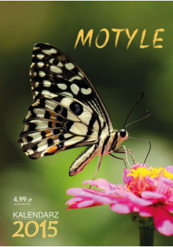 Kalendarz 2015 Motyle