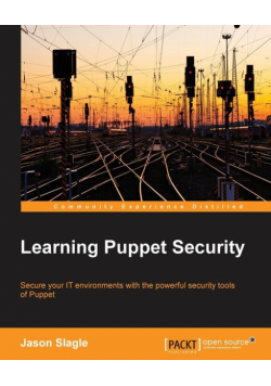 Learning Puppet Security