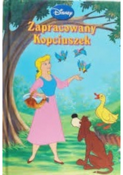 Zapracowany kopciuszek