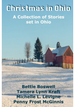 Christmas In Ohio