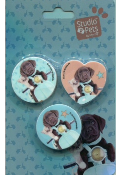 Zestaw 3 gumek do mazania Studio Pets