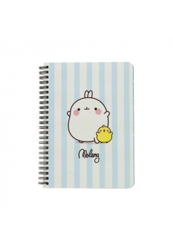 Notatnik A5 Molang