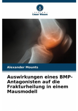 Auswirkungen eines BMP-Antagonisten auf die Frakturheilung in einem Mausmodell