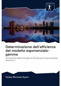 Determinazione dell'efficienza del modello esponenziale-gamma