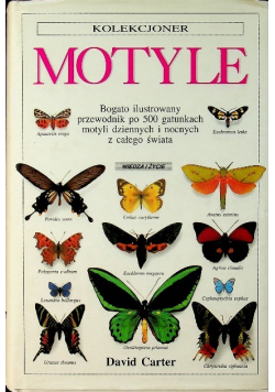 Kolekcjoner Motyle
