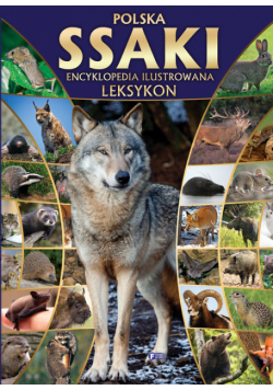 Polska ssaki encyklopedia ilustrowana leksykon