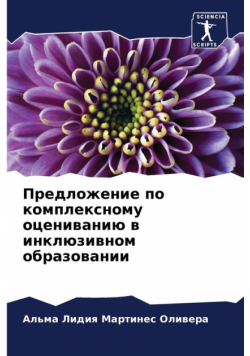 Предложение по комплексному оцениванию в инклюзивном образовании