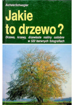 Jakie to drzewo