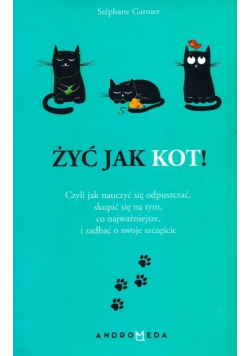 Żyć jak kot