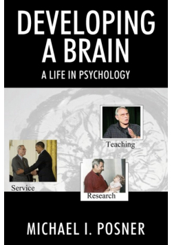 Developing a Brain