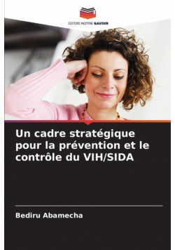 Un cadre stratégique pour la prévention et le contrôle du VIH/SIDA