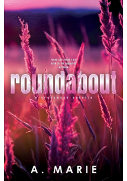 Roundabout Discreet Cover