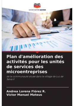 Plan d'amélioration des activités pour les unités de services des microentreprises