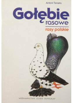 Gołębie rasowe Rasy polskie
